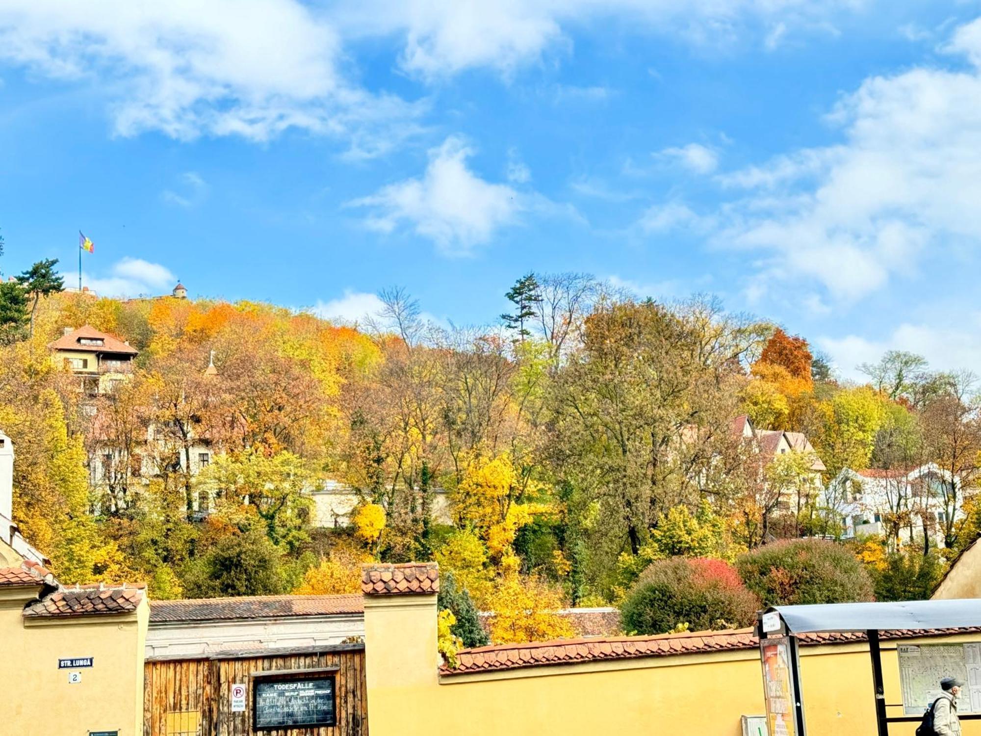 ブラショフ Casa Mingヴィラ エクステリア 写真
